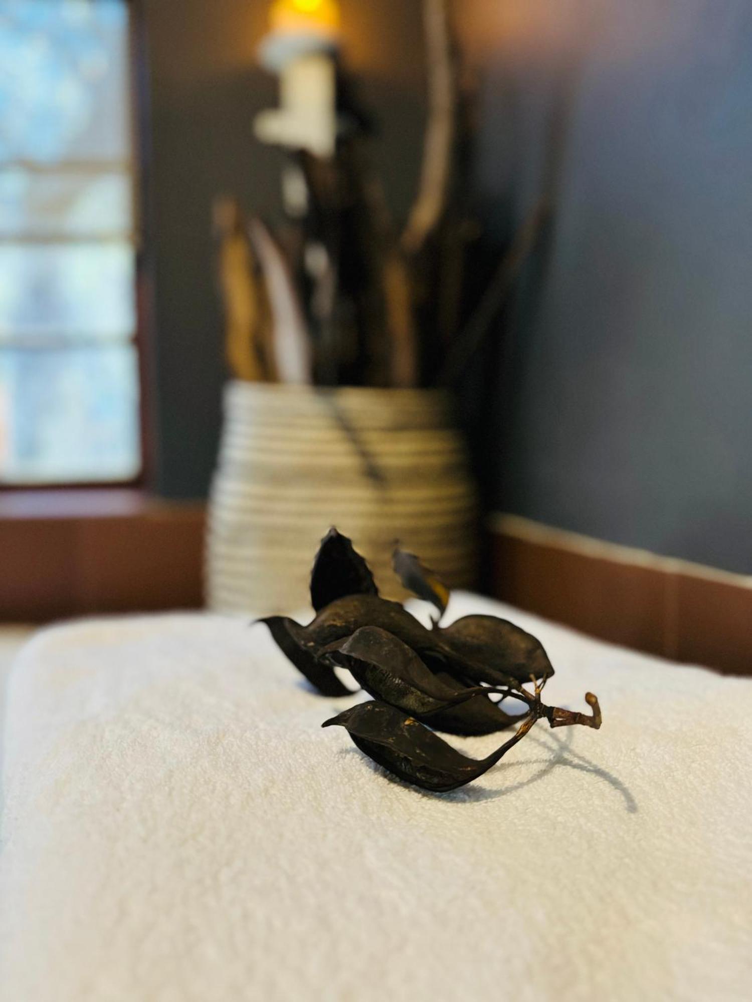 Megumi - Vaal Riverside Retreat - Loadshedding Friendly Parys Extérieur photo