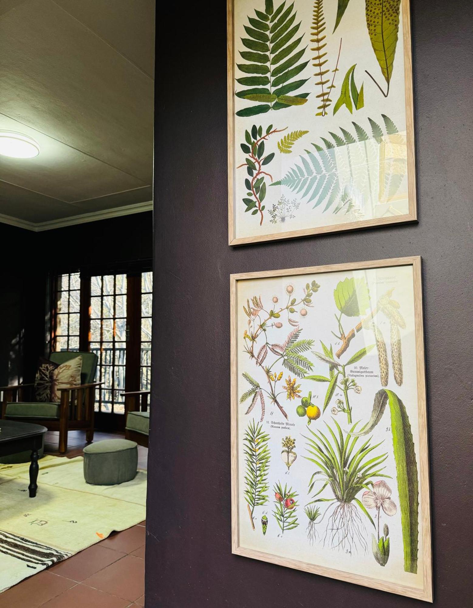Megumi - Vaal Riverside Retreat - Loadshedding Friendly Parys Extérieur photo